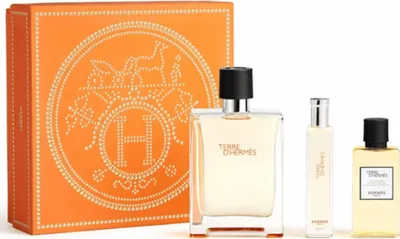 Immagine prodotto di Hermes Terre D'Hermes Eau de Toilette 100ml + 15ml & Gel doccia 40ml