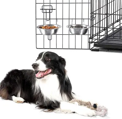 Image de Lot Petmaker comprenant 2 gamelles pour chien en acier inoxydable, 237 ml, lavables au lave-vaisselle