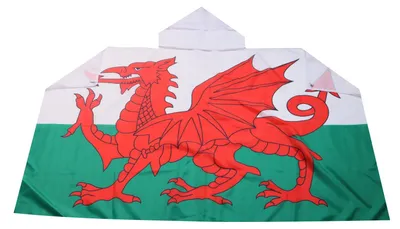 Immagine prodotto di AZ FLAG - Bandiera del Galles, 150x90 cm, in poliestere leggero