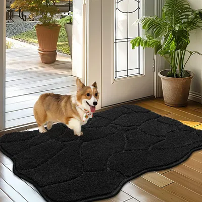 Produktbild von Fußmatte Innen 60 x 90 cm, rutschfest und waschbar, schwarz