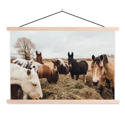 Produktbild von MuchoWow® Textilposter Tiere - Pferd 60x40 cm mit holzfarbenen Rahmen - Bilder