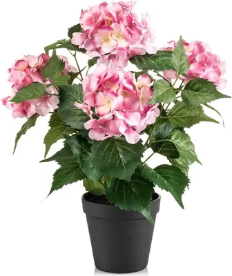 Produktbild von künstliche Hortensie Hydrangea im Topf pink H. 38cm Emerald Topfpflanze
