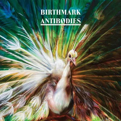 Produktbild von Birthmark-Antibodies