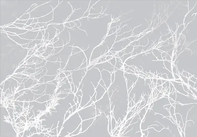 Produktbild von Vlies Fototapete Bäume 450x315 cm Tapeten Wandtapete XXL Abstrakt Natur weiß grau b-A-0765-a-a