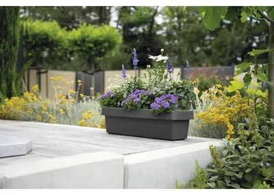 Produktbild von Blumenkasten geli VIVA Kunststoff 98 x 21,2 x 17,1 cm anthrazit inkl. Erdbewässerungsystem