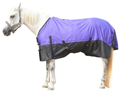 Imagen del producto de Manta impermeable para caballos con correas cruzadas en el vientre