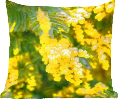 Produktbild von MuchoWow® Zierkissen Sofakissen Wohnzimmer Dekokissen 40x40 cm Gelbe Mimosenblüten - Foto Kissen - Schlafzimmer Dekoration