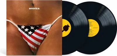 Immagine prodotto di The Black Crowes - Amorica (rimasterizzato) (2 LP)