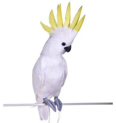 Immagine prodotto di Pappagallo Cacatua H 54 cm
