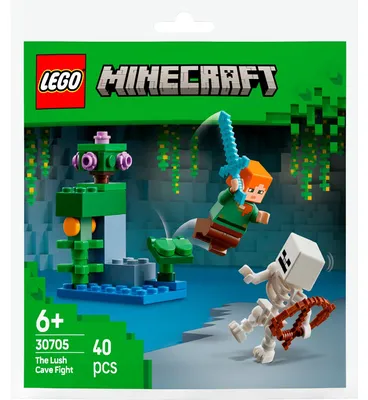 Obrázek produktu pro LEGO Minecraft Bitva v zarostlé jeskyni, Sada na stavění, 6 rok/roky, Plast, 40 kusů, 35 g
