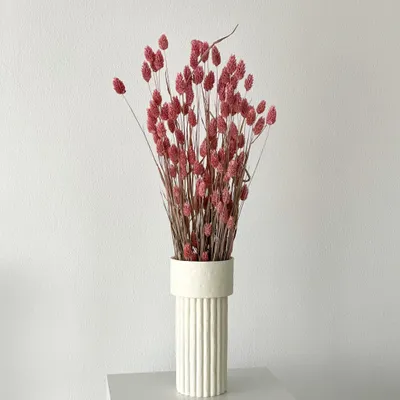Imagen del producto de fácil cuidado decorativa L 0.6m interior oficina set Sonstige Wasserspielzeuge
