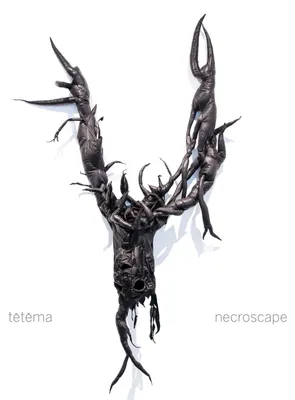 Produktbild von Necroscape