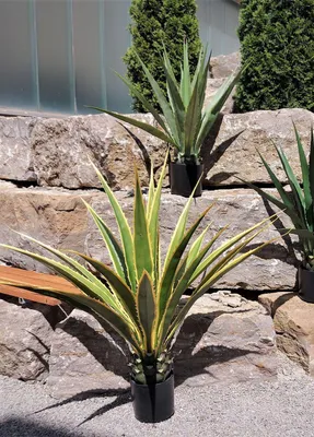 Produktbild von artplants.de Künstliche Agave furcraea gigantea Cherie, grün-gelb, 100cm - Kunst Agave