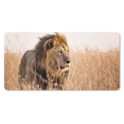 Produktbild von MuchoWow® Schreibtischunterlage Löwe - Gras - Jagd 80x40 cm - XXL Mauspad - Gaming Mauspad