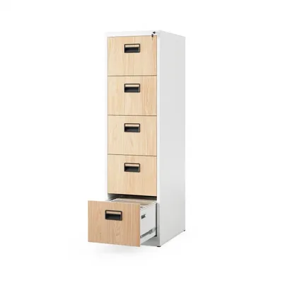 Image de Armoire SARA V005 : blanc RAL9003 - bois