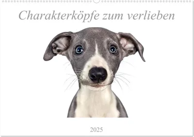 Produktbild von Charakterköpfe zum verlieben (Wandkalender 2025 DIN A2 quer), CALVENDO Monatskalender