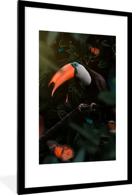 Produktbild von MuchoWow® MuchoWow® Gerahmtes Poster Tukan - Vogel - Dschungel 60x90 cm - Poster mit zchwarzem Bilderrahmen - Dekoration - Wandposter Wohnzimmer - Hochwertig