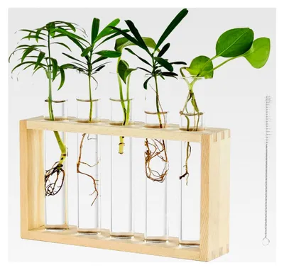 Produktbild von Moderne Blumenvase Set aus kleinen Vasen Vintage Glas Reagenzgläser für Blumen mit Holzständer für Tischdekoration Wohnzimmer Outdoor Taufe Geburtstag Hydroponik