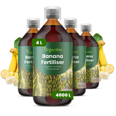Obrázok produktu pre Tekuté hnojivo Banán, 4 x 1 liter – NPK 2-1-8 – Pre ovocné rastliny – Pre silné banány a zdravé listy – Podporuje rast koreňov a vitalitu – Organický produkt