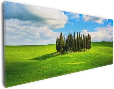 Produktbild von Wallario Premium Leinwandbild Kleiner Wald inmitten einer weiten Wiese in Größe 30 x 75 cm