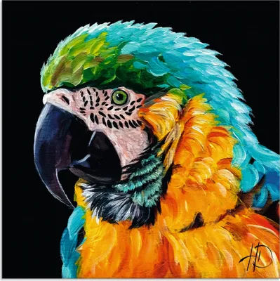 Produktbild von ARTland Glasbild Farbenpracht im Federkleid Größe: 20x20 cm