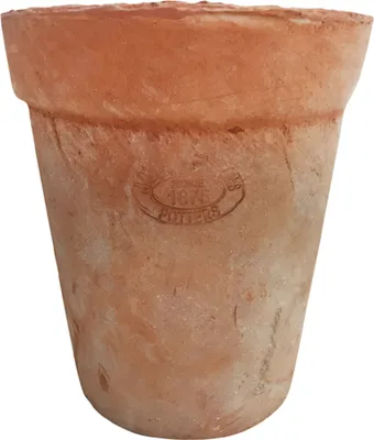 Aged-Teracotta-Topf