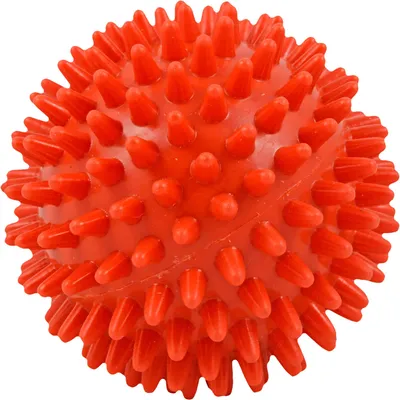 Immagine prodotto di Palla per ricci 6 cm arancione 1 pz