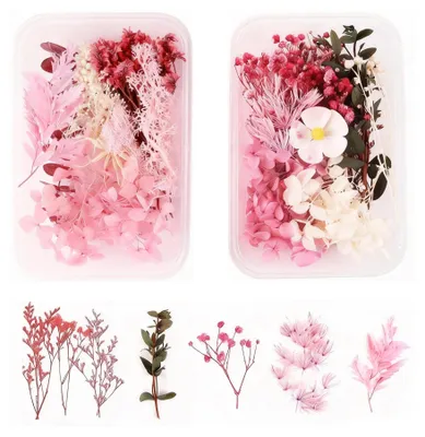 Getrocknete Blumen, 2 Stile, rosa, zum Basteln und Dekorieren