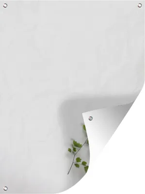 Produktbild von MuchoWow® 60x80 cm Outdoor-Poster Gartendeko Sichtschutz Garten Poster für den Garten  Blatt eines Farns vor weißem Hintergrund