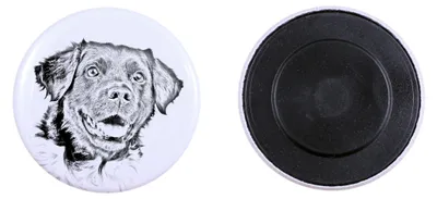 Immagine prodotto di Stabyhoun magnete con un piccolo cane Art-Dog