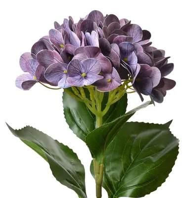Produktbild von Clayre & Eef Kunstblume Hortensie 68 cm Violett Kunststoff