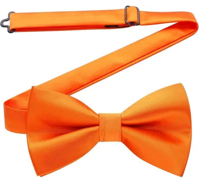 Produktbild von Fliege Herren Bereits Gebunden Verstellbar Einfarbig Paisley Geblümt Orange