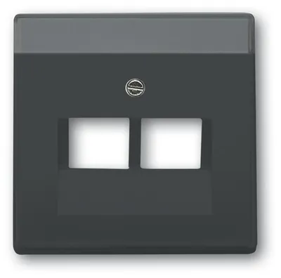 Image de BUSCH-JAEGER Plaque centrale UAE/IAE 2f futur anth glz