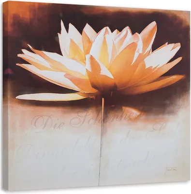 Produktbild von Leinwandbild seerosenblüte 40x40 cm Feeby beige wandbild bereit zum aufhängen