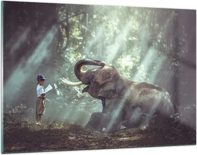 Produktbild von Bilder auf glas - Elefant Dschungel Stoßzahn - 120x80cm - Glasbilder - Wandbilder - Kunstdruck - zum Aufhängen bereit - Wanddekoration aus Glas - Glas Bilder - Wandbild auf Glas - GAA120x80-3486