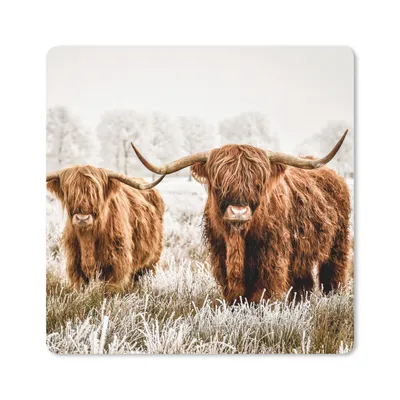 Produktbild von MuchoWow® Mauspad Mousepad Schottischer Highlander - Kuh - Tiere 30x30 cm - Mousepads - Maus Mat - Pad - Mausunterlage - Gaming