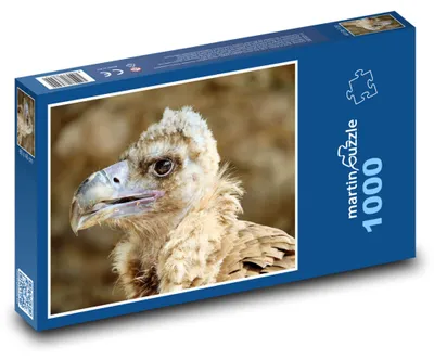 Produktbild von Puzzle 1000 Imposanter schwarzer Geier - martinpuzzle
