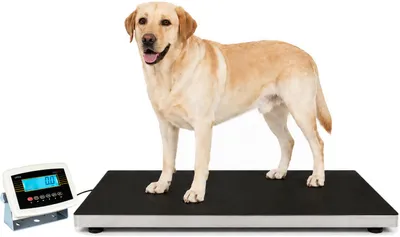 Produktbild von Veterinärwaage Tierwaage Plattformwaage 50x110cm Hundewaage Katzenwaage 300kg Tierarztpraxis