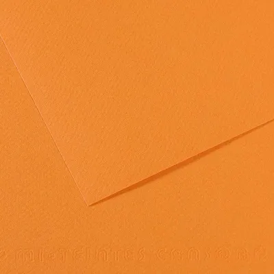 Obrázek produktu pro Papír na pastel CANSON Mi-Teintes A4 / 160 g/m² – 50 listů - Buff 384