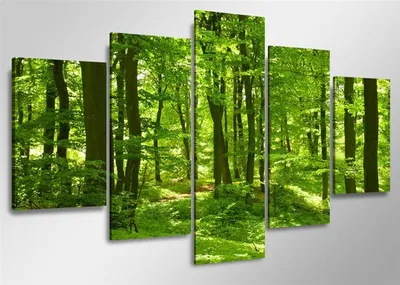 Produktbild von 5507 Grüner Wald Leinwandbild 5-teilig 160x80 cm