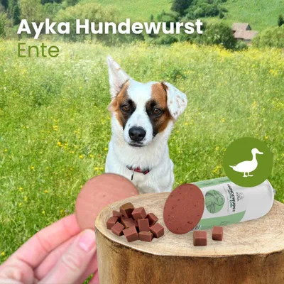 Produktbild von Ayka Hundewurst Ente 1 Stück 400g