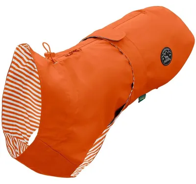 Immagine prodotto di Cane Hunter mackintosh Milford, misura:35 cm, colore:arancione
