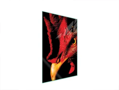 Produktbild von Herdabdeckplatte 35x52 Glaskeramikkochfeld Abdeckung Spritzschutz Glasplatte Deko Schneidebrett Schwarz Tier