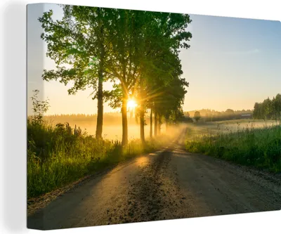 Produktbild von OneMillionCanvasses® - Leinwandbilder - 150x100 cm, Sonnenaufgang durch die Bäume, Wandbilder Kunstdruck Wanddekoration