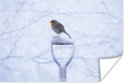 Produktbild von MuchoWow® Poster Rotkehlchen - Winter - Garten 120x80 cm - Bilder