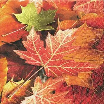 Produktbild von 20 kleine Cocktailservietten Maple Leaves - Ahornblätter 25x25cm