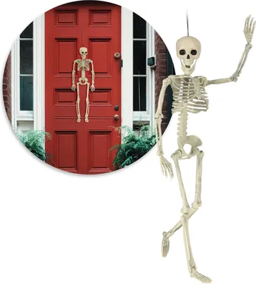 Produktbild von com-four® 60cm Deko Skelett für Halloween - XL-Skelett aus Kunststoff zum Aufhängen und Aufstellen - Skelett mit beweglichen Gelenken - hoher Grusel-Faktor für Halloween