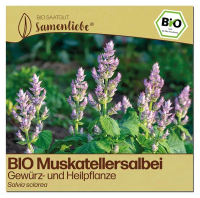 Produktbild von Samenliebe  Muskatellersalbei Samen | Heilpflanze - winterhart & zweijährig - samenfestes  Saatgut