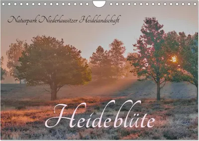 Produktbild von Naturpark Niederlausitzer Heidelandschaft - Heideblüte (Wandkalender 2027 DIN A4 quer), CALVENDO Monatskalender