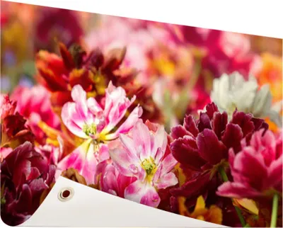 Produktbild von Gartenposter - 120x80 cm - Mehrfarbige Tulpen  - Modernes Wandbilder - Natur